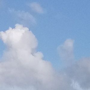 Meet your Posher, Laniya